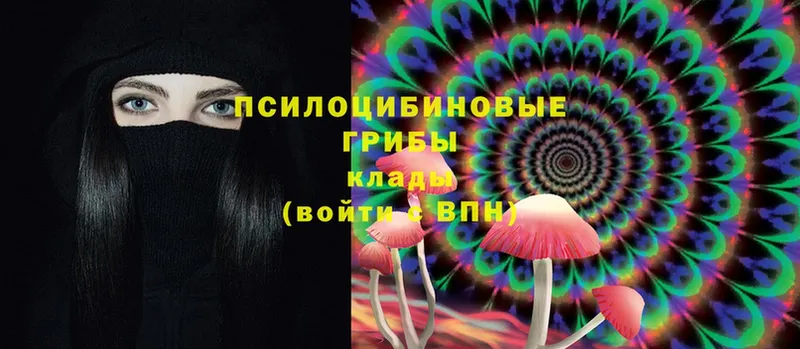 Псилоцибиновые грибы Magic Shrooms  дарк нет телеграм  Приморско-Ахтарск 